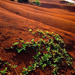 反乌托邦《厄瑞班：暗影之族》4月10日发售 预告发布